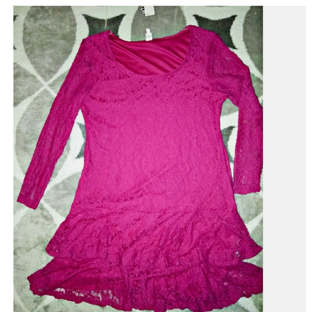 Plus Size 3X Pink Lace Dress